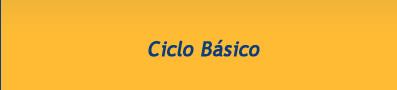 ciclo basico